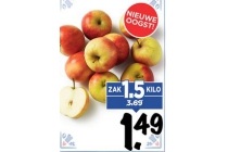 hollandse elstar appels