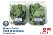 horeca select munt of basilicum