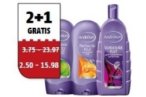 andr en eacute lon shampoo conditioner of styling