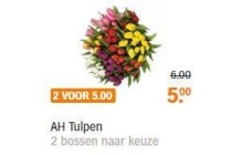 ah tulpen