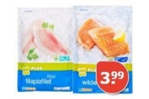 plus tilapia of zalmfilet