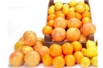citroenen rode grapefruits of perssinaasappels