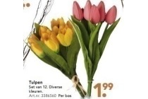 tulpen