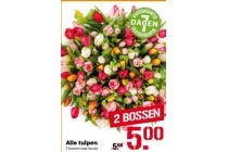 alle tulpen