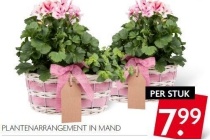 plantenarrangement in mand