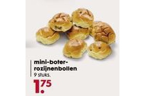 mini boter rozijnenbollen