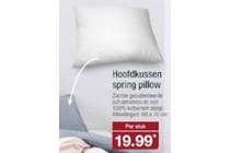 hoofdkussen spring pillow