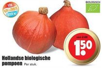 hollandse biologische pompoen