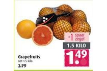 grapefruits net 1 5 kilo