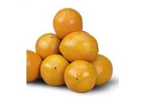 navel sinaasappelen