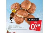 krenten rozijnenbollen