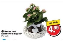 krans met kalanchoe in glas