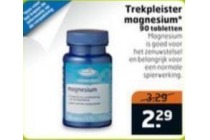 magnesium tabletten