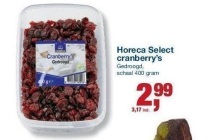 horeca select cranberry s