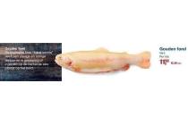 gouden forel makro