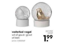 waterbol vogels