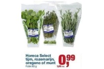 horeca select tijm rozemarijn oregano of munt