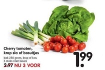 cherry tomaten krop sla of bosuitjes