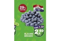 blauwe bessen