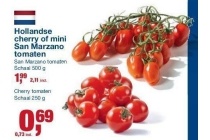 hollandse san marzano tomaten
