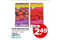 plus diepvries fruit