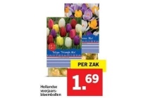 hollandse voorjaarsbloembollen