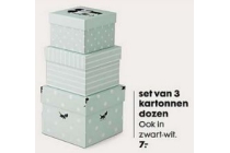 set van 3 kartonnen dozen