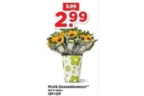 plus zonnebloemen