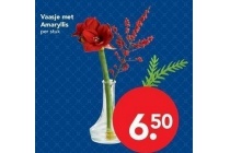 vaasje met amaryllis