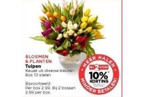 bloemen en planten