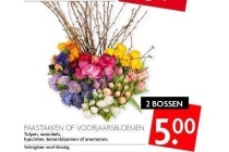 paastakken of voorjaarsbloemen