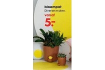 bloempot