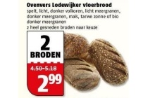 ovenvers lodewijker vloerbrood