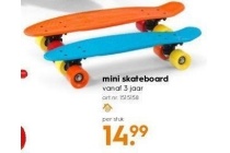 mini skateboard