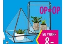 terrarium met frame