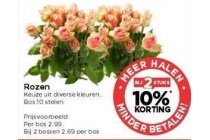 rozen 10 stelen