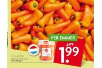 hollandse snack paprika s 300 gram