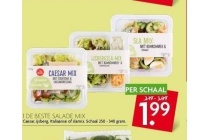 1 de beste salade mix