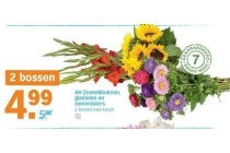 ah zonnebloemen gladiolen en zomerasters