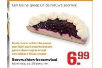 bosvruchten bessenvlaai