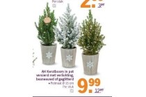 ah kerstboom in pot versierd met verlichting besneeuwd of geglitterd