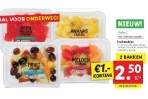 fruitsalades lidl 230 250 gram