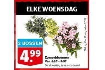 zomerbloemen