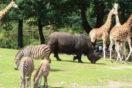 Dierentuin korting actie vakantieveilingen