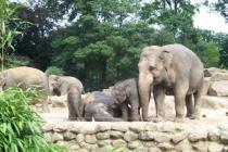 dierentuin olmense zoo belgie korting entree