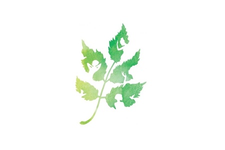 Botanique logo