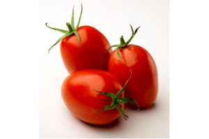 hollandse roma tomaten