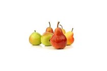 plus handperen forelle