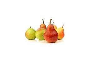 plus handperen forelle