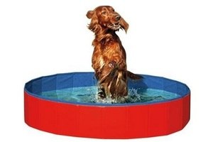 adori hondenzwembad